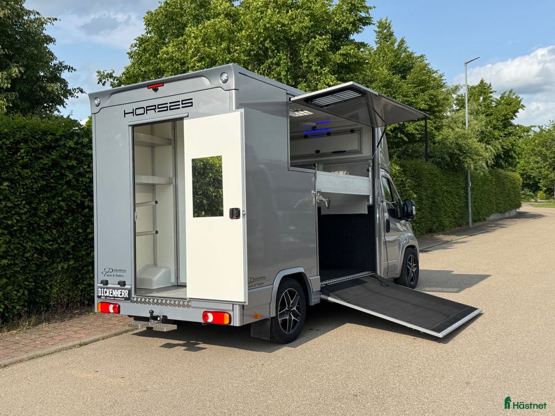 Hästlastbilar  fordon & transport till salu: Dickenherr 2-Ride 180 hk Automat i Haverdal - Bild 4