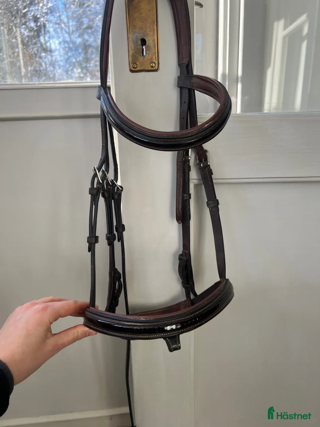 Träns hästutrustning till salu: Equipe lack träns  - Annons 2