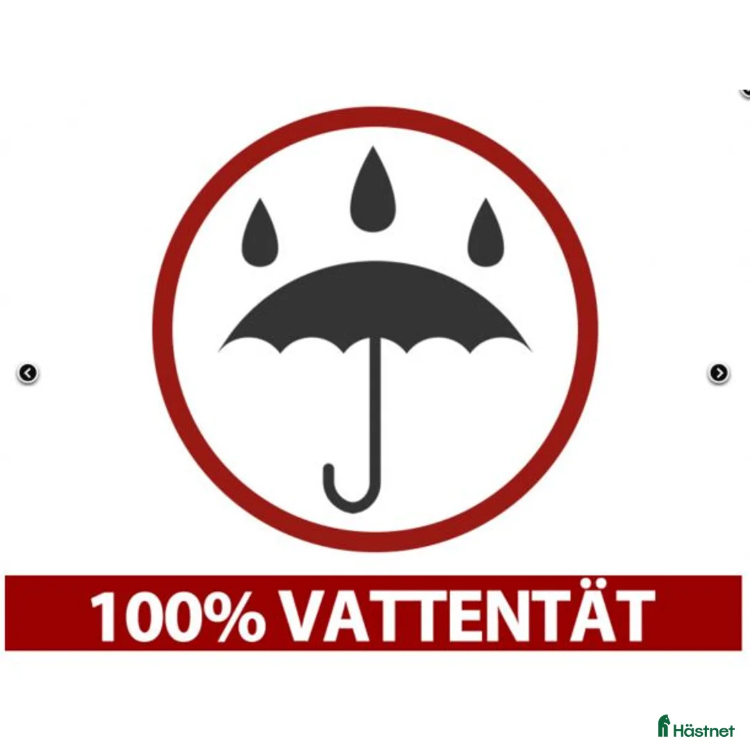 Övrigt fordon & transport till salu: Husbil & Husvagns Garagetält Grå PVC 11753:-  - Annons 2