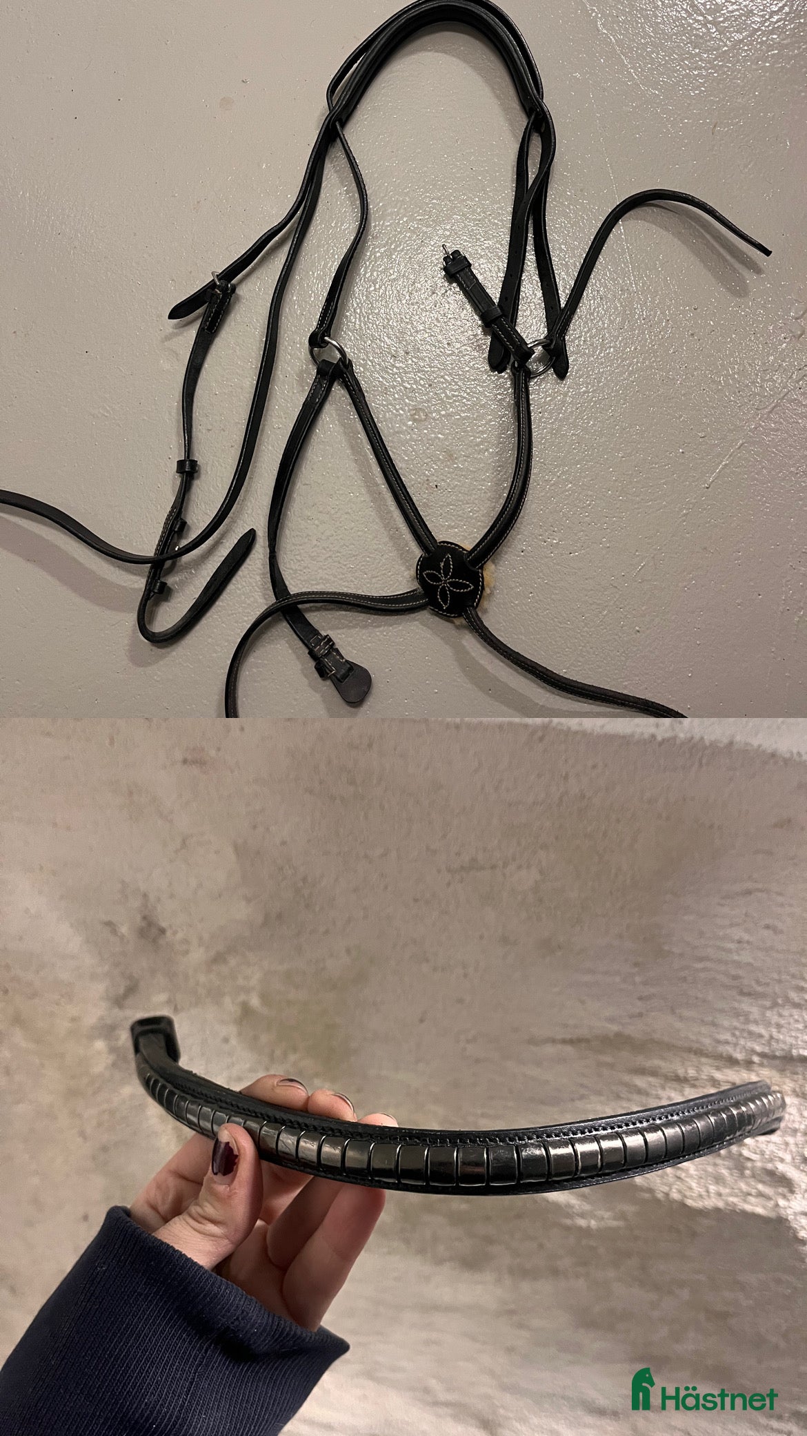 Träns hästutrustning till salu: Träns och pannband i Stockholm - Annons 4