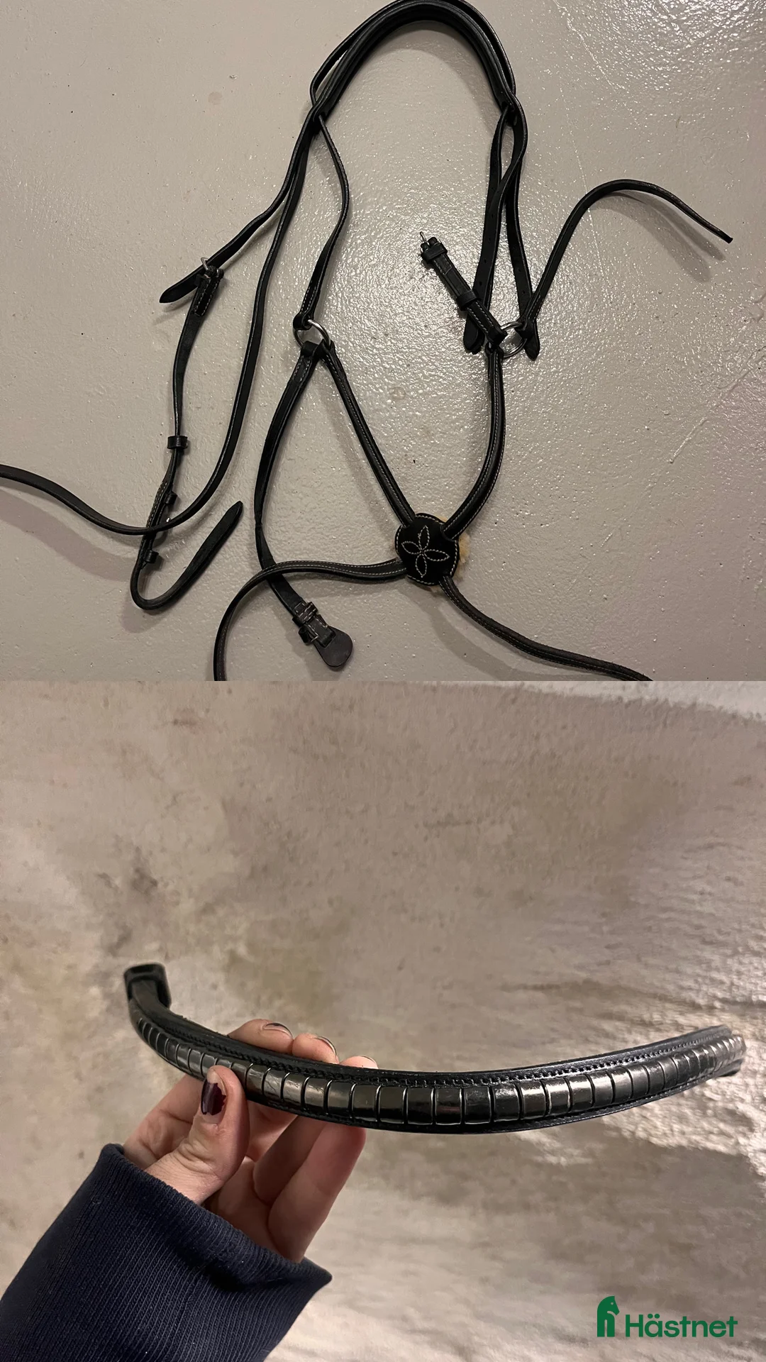 Träns hästutrustning till salu: Träns och pannband i Stockholm - Annons 1