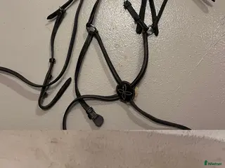 Träns hästutrustning till salu: Träns och pannband i Stockholm - Annons 4