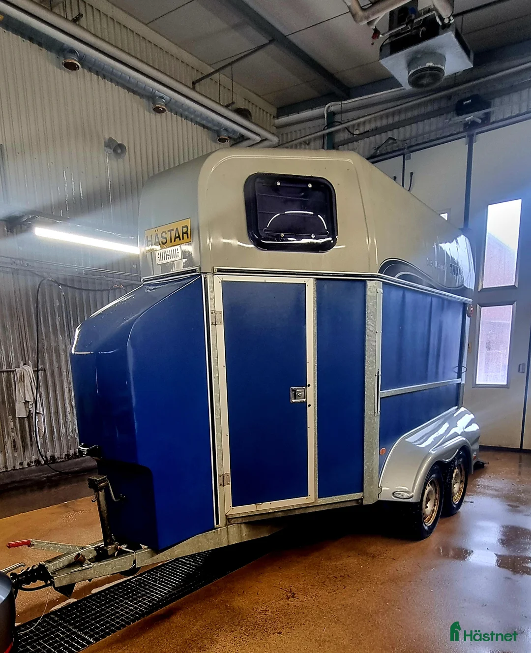 Hästtransporter  fordon & transport till salu: Star Trailer Diamant i Borlänge - Annons 2