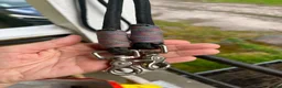 Träns hästutrustning till salu: Reptyglar cob - Annons 2