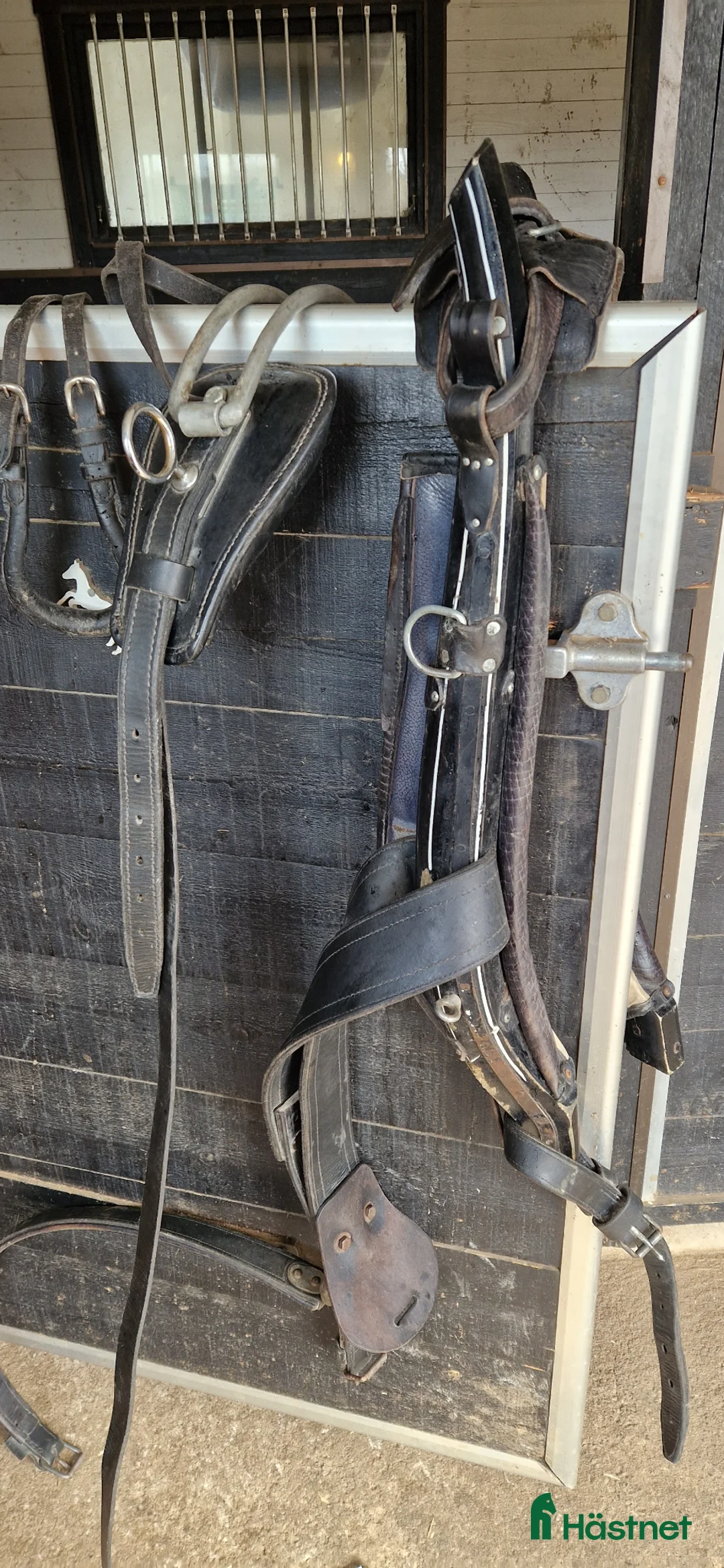 Körselar körning till salu: Loksele - Annons 2