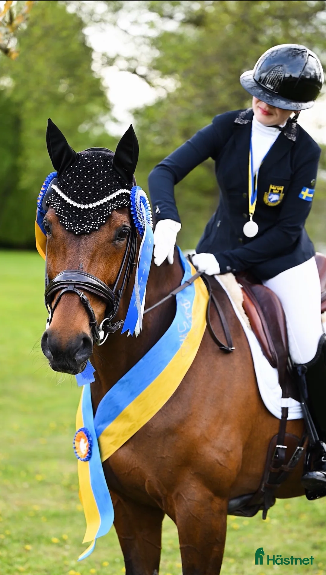Dressyr hästar sökes: SM-silver i Children - söker framtida juniorhäst - Annons 1
