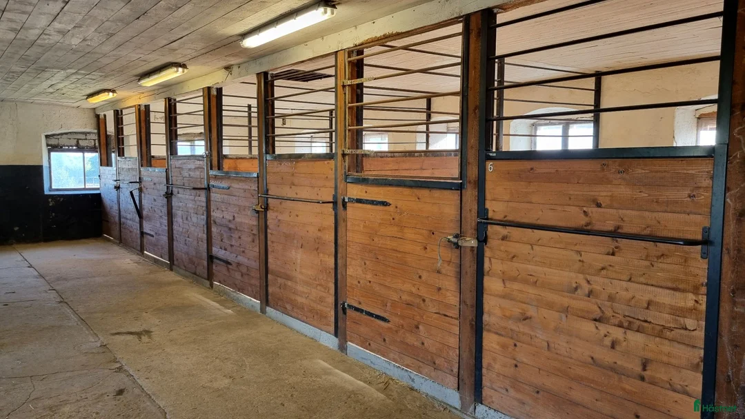  stallplats finnes: Lösdrift - Annons 1