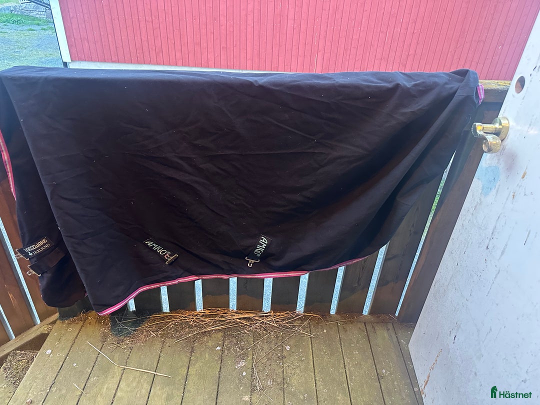 Täcken hästutrustning till salu: Svett täcke från Amigo, nyskick! i Forserum - Annons 2