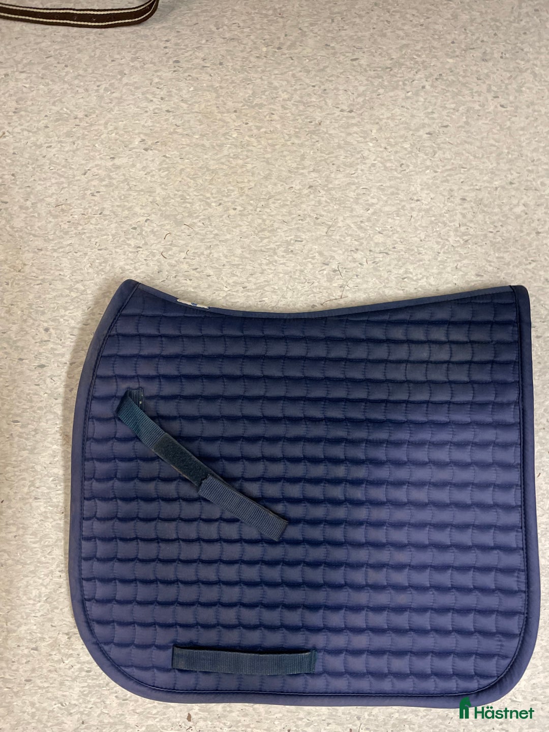 Schabrak & Vojlockar hästutrustning till salu: Dressyr schabrak i Östersund - Annons 1