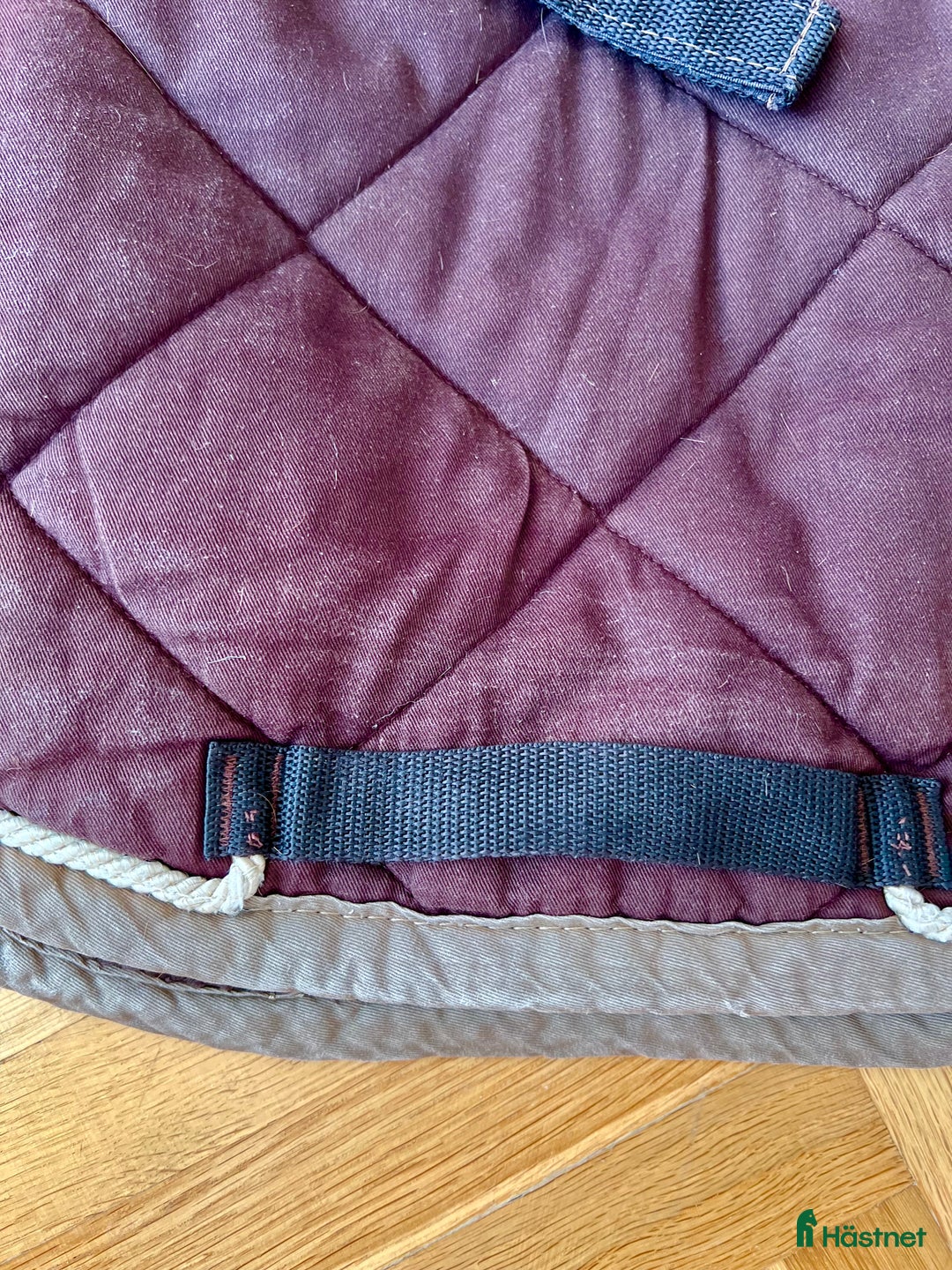 Schabrak & Vojlockar hästutrustning till salu: Lami-Cell Elegance mörkbrunt i Halmstad - Annons 2