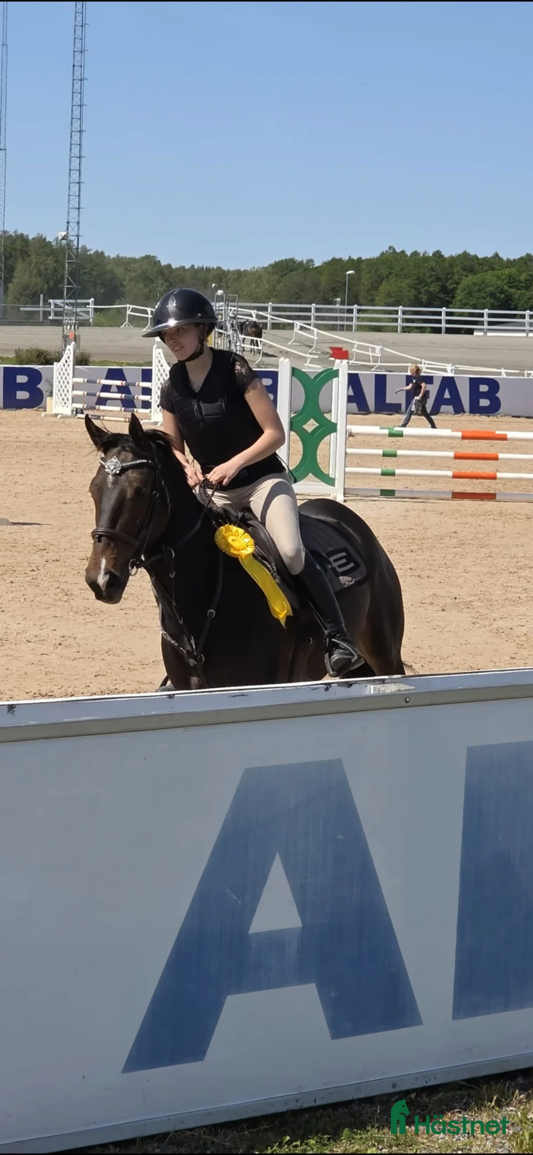Hoppning hästar till salu: Lovande D-ponny med hjärta och potential 🌟 - Annons 1