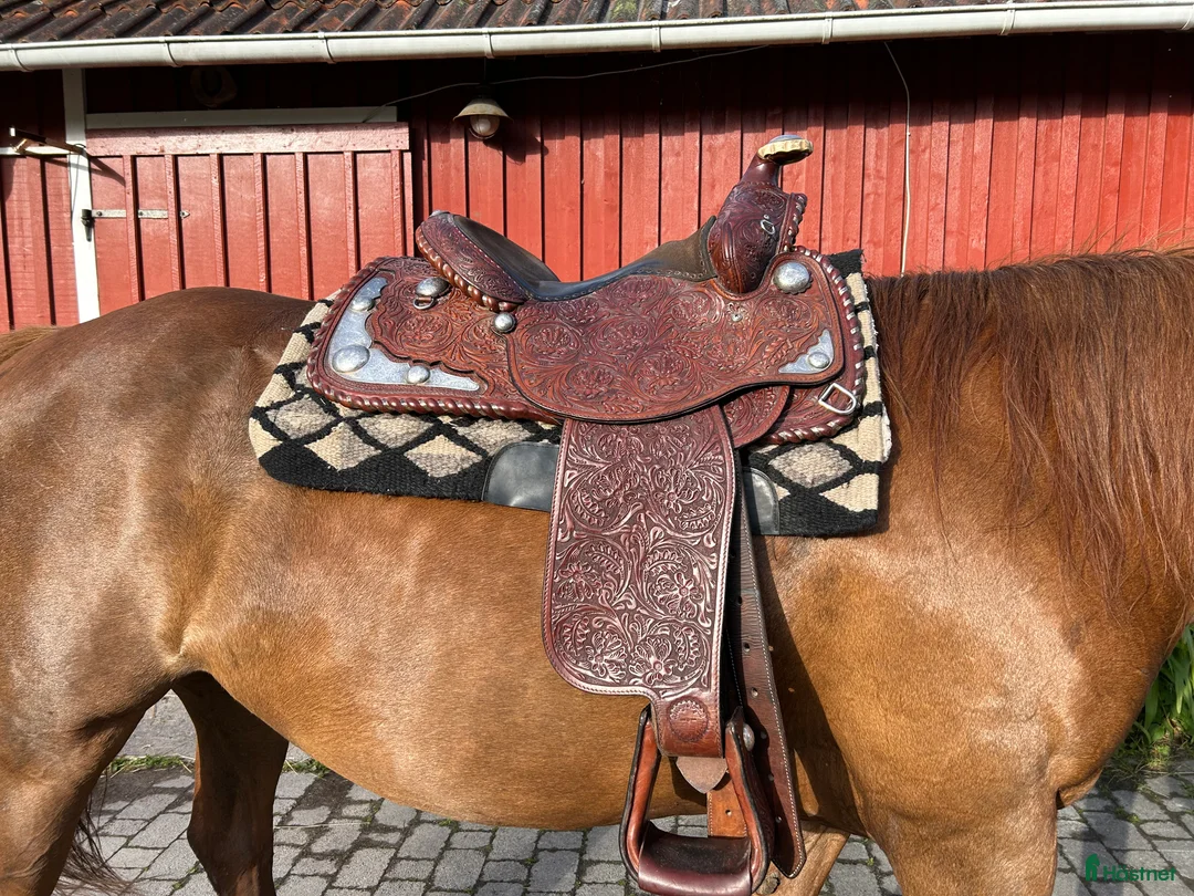 Sadlar hästutrustning till salu: Western Pleasure sadel i Harestad - Annons 1