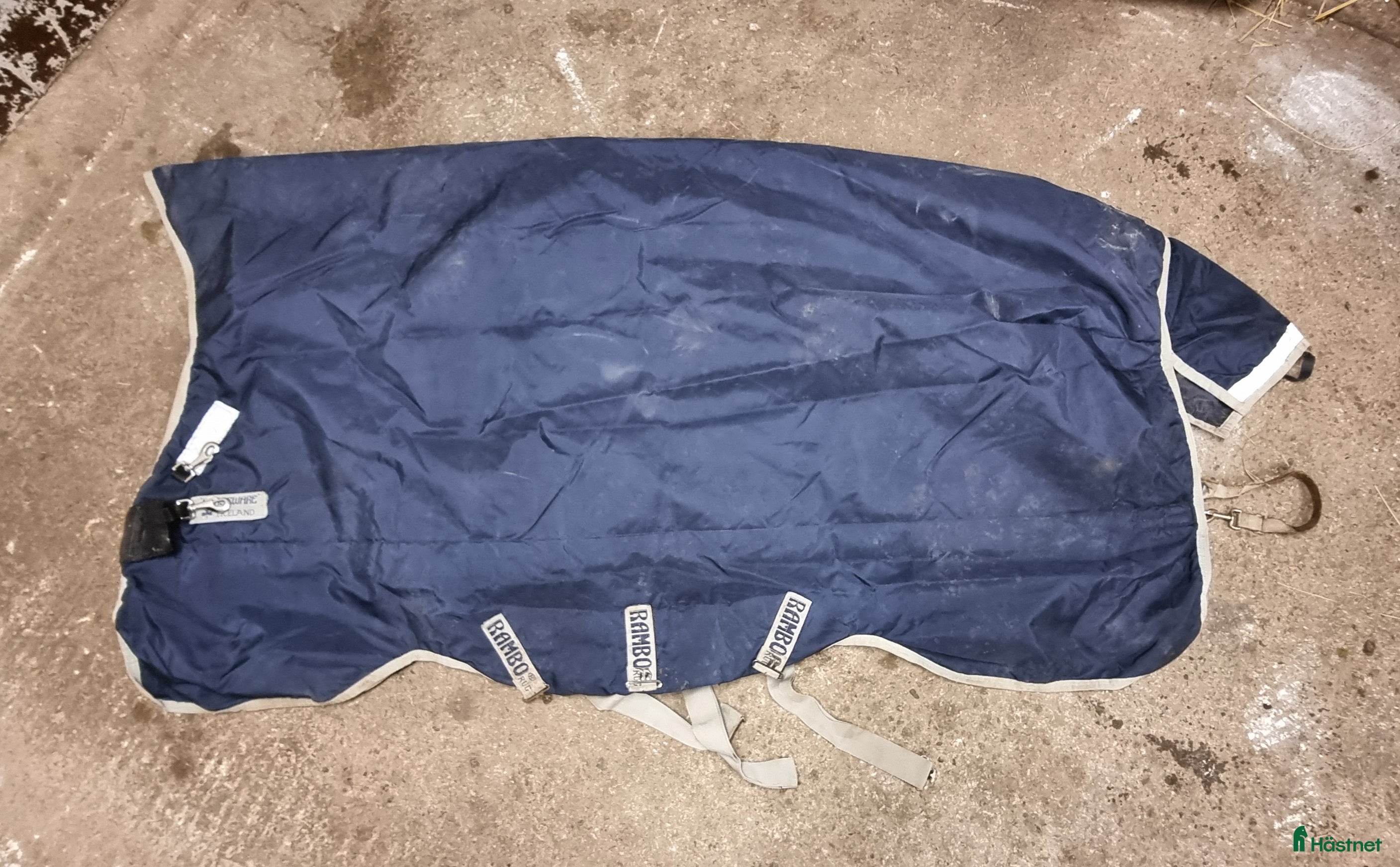 Täcken hästutrustning till salu: Rambo wug i Örbyhus - Annons 4