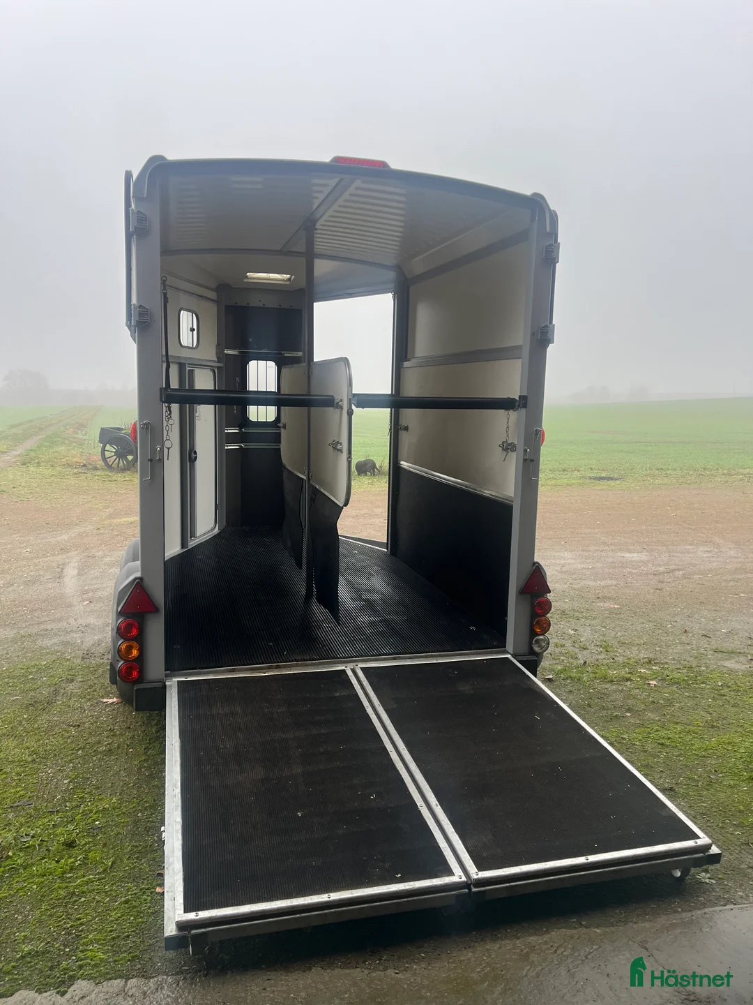 Hästtransporter  fordon & transport till salu: Brun Ifor Williams HB511 2022 - Annons 4