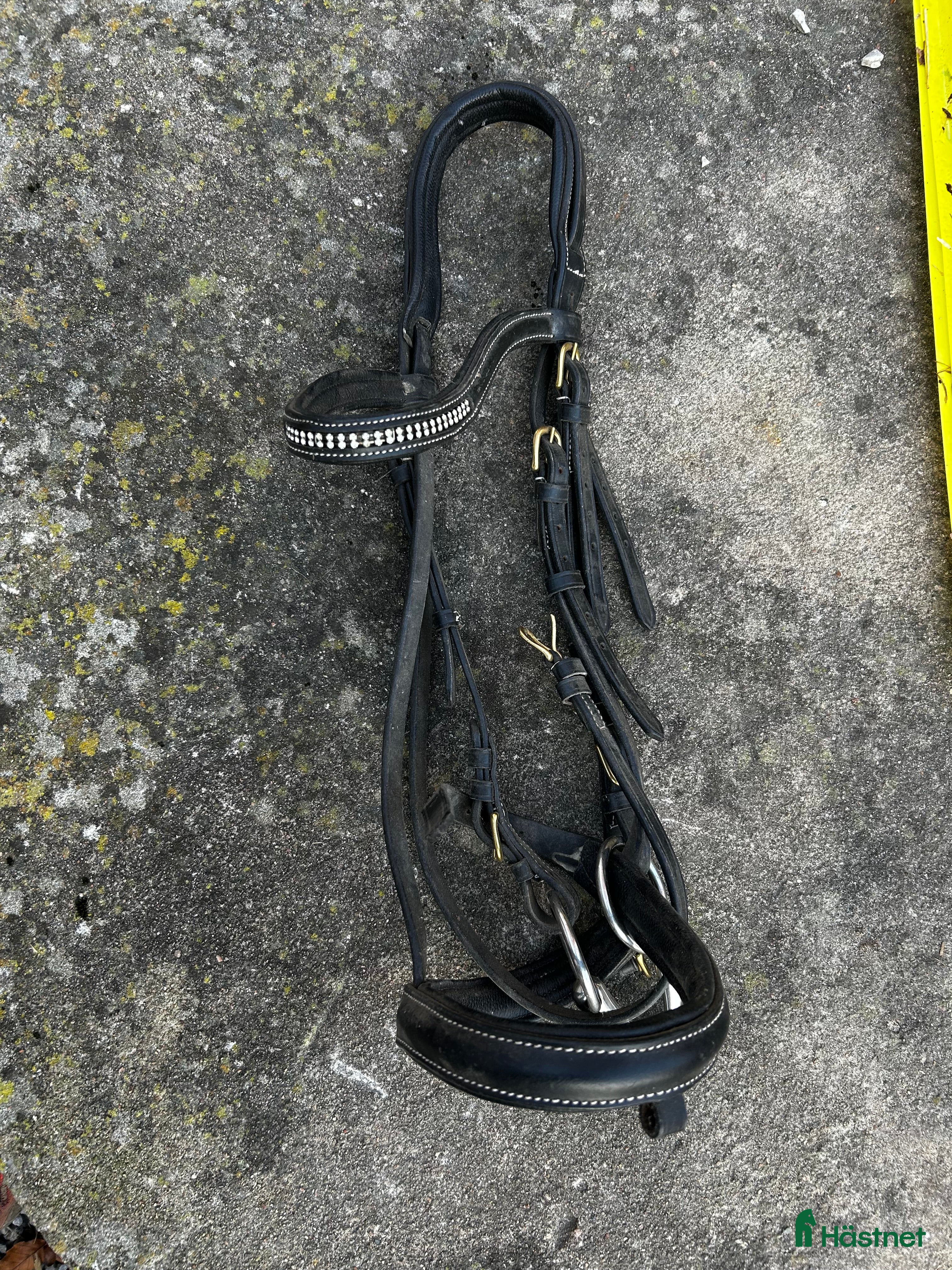 Träns hästutrustning till salu: 2st träns strl full i Hörby - Annons 14