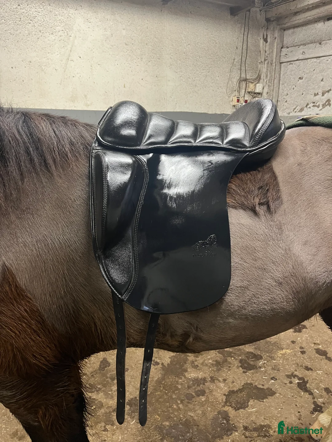 Sadlar hästutrustning till salu: Tölthästar islandsadel 17,5" - snabb affär i Kalmar - Annons 2