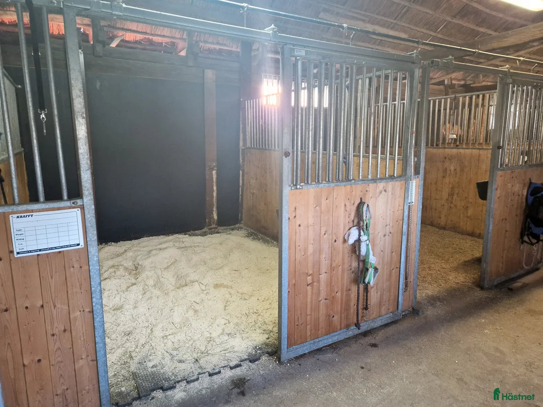  stallplats finnes: Stall plats finnes i Grödinge i Grödinge - Annons 3