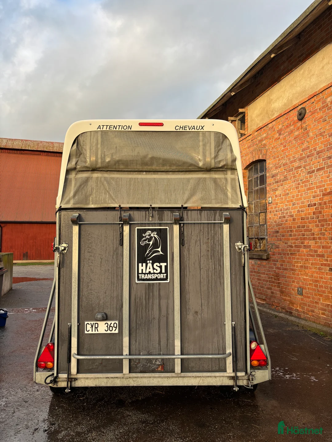 Hästtransporter  fordon & transport till salu: Cheval gold  i Karlshamn - Annons 3