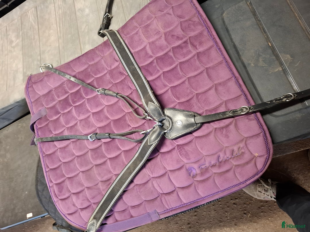 Övrig Hästutrustning hästutrustning till salu: Stallrensning i Vagnhärad - Annons 1