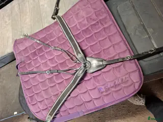 Övrig Hästutrustning hästutrustning Stallrensning i Vagnhärad - Annons 5