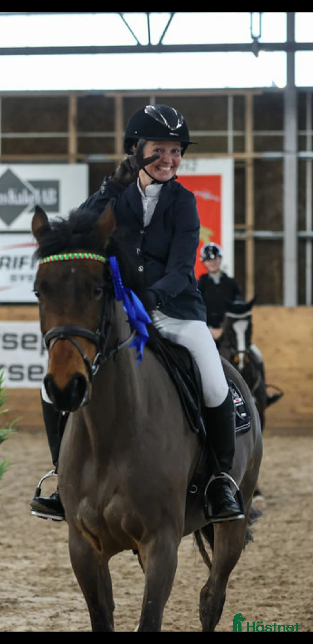 Allround hästar till salu: Läromästare - Annons 1