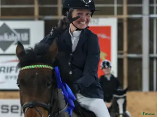 hästar Läromästare - Annons 5