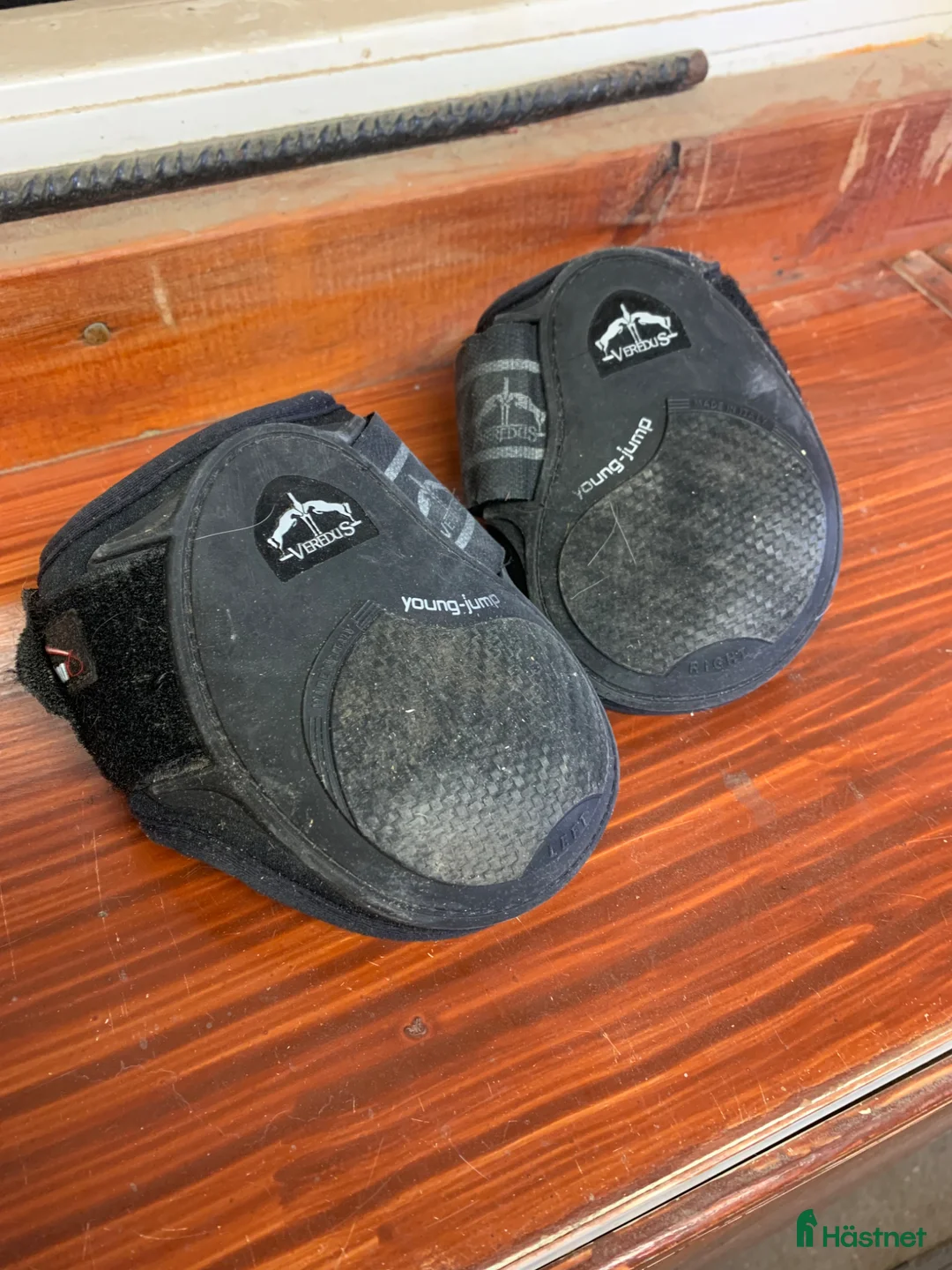 Benskydd hästutrustning till salu: Bakskydd Veredus - Annons 2