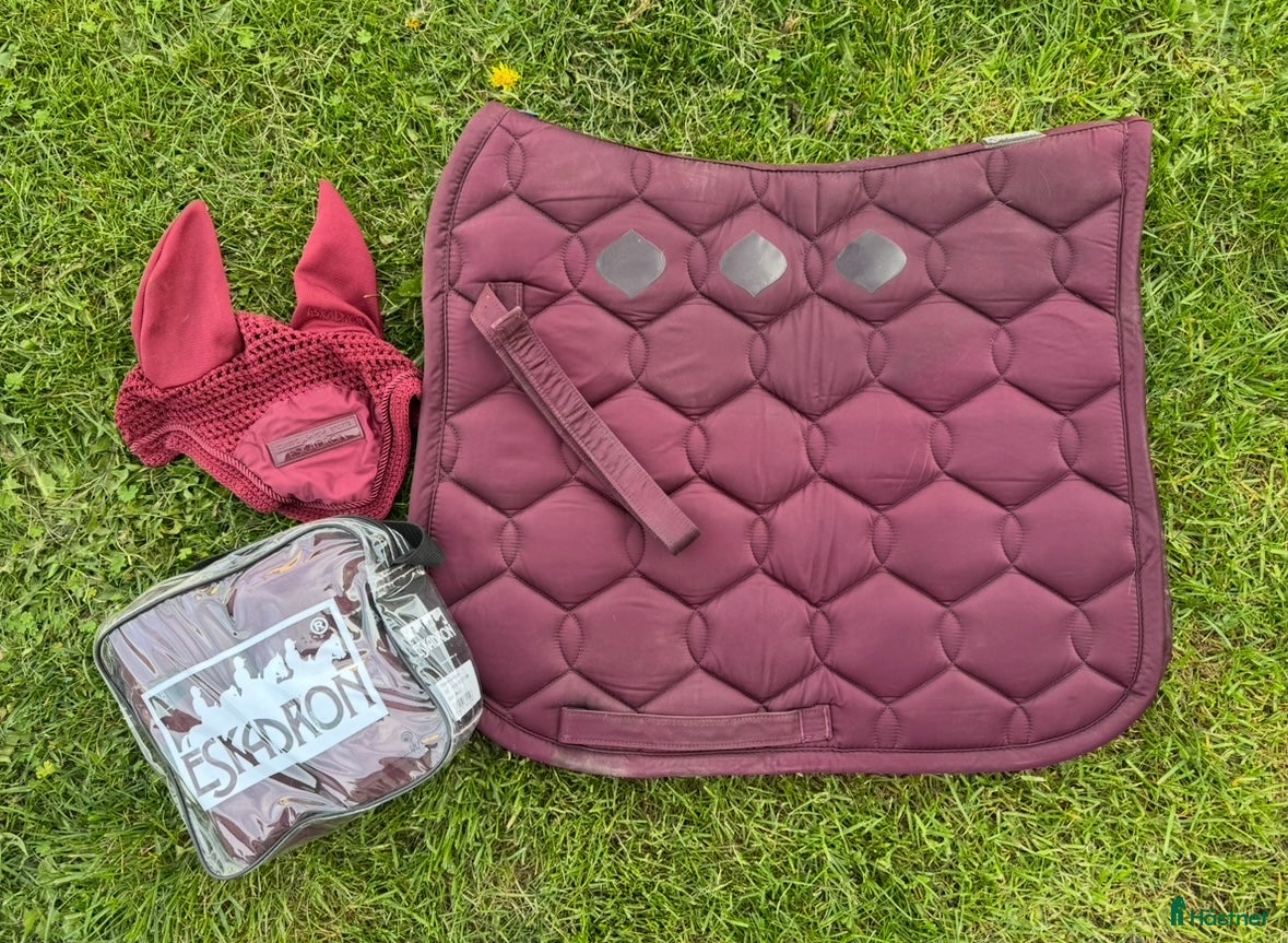 Schabrak & Vojlockar hästutrustning till salu: Schabrak huva benlindor Eskadron i Romakloster - Annons 21