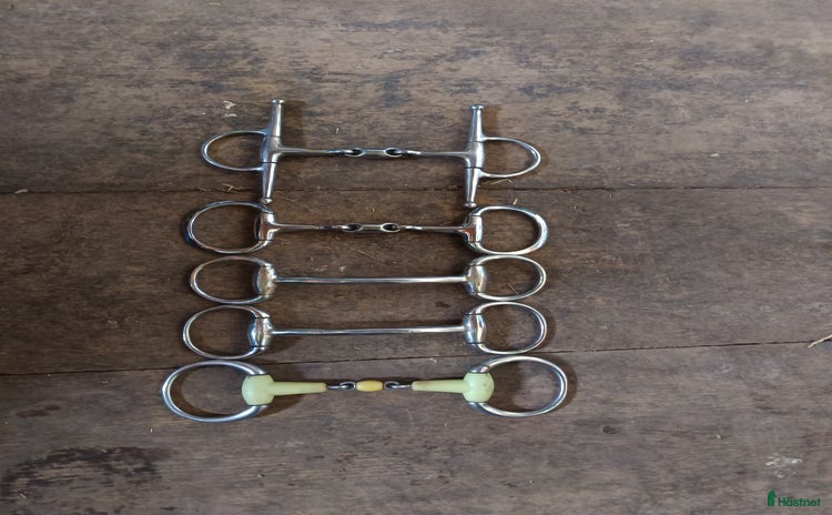 Bett hästutrustning till salu i Mölnbo - Annons 16