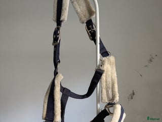 Övrig Hästutrustning hästutrustning till salu: Grimmor i Älmhult - Annons 8