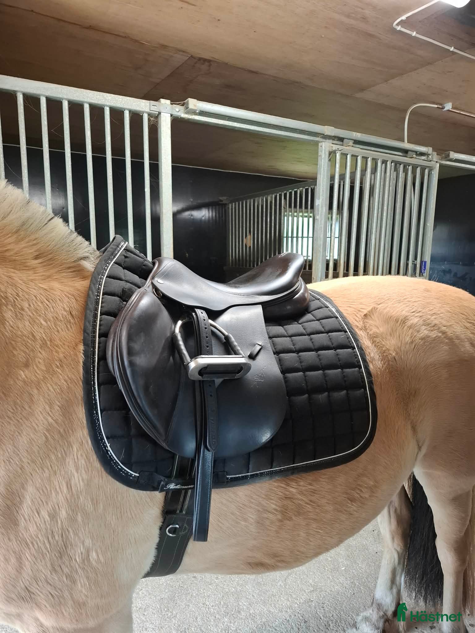 Sadlar hästutrustning Equipe performance hoppsadel  - Annons 2