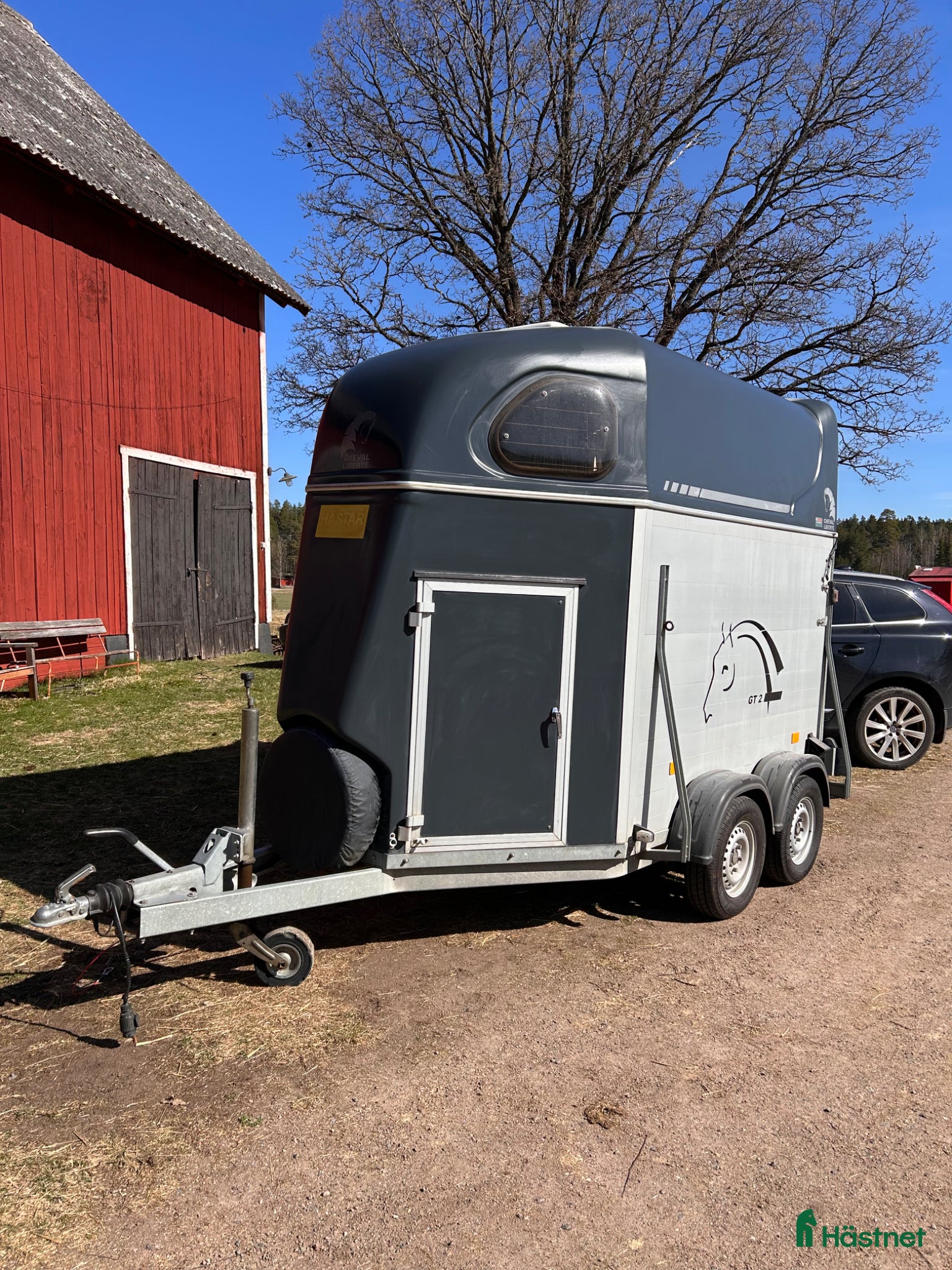 Hästtransporter  fordon & transport till salu: Fantastisk hästtransport  - Annons 1