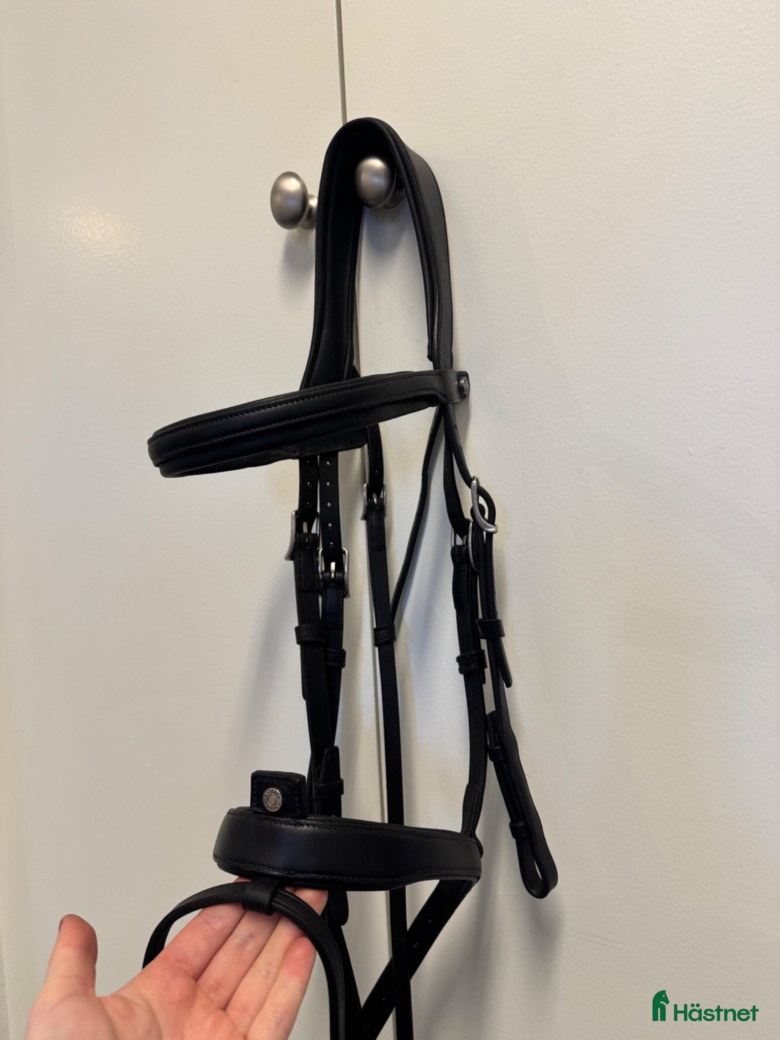 Träns hästutrustning Antarès träns  - Annons 3