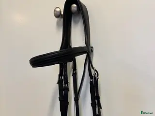 Träns hästutrustning Antarès träns - Annons 3