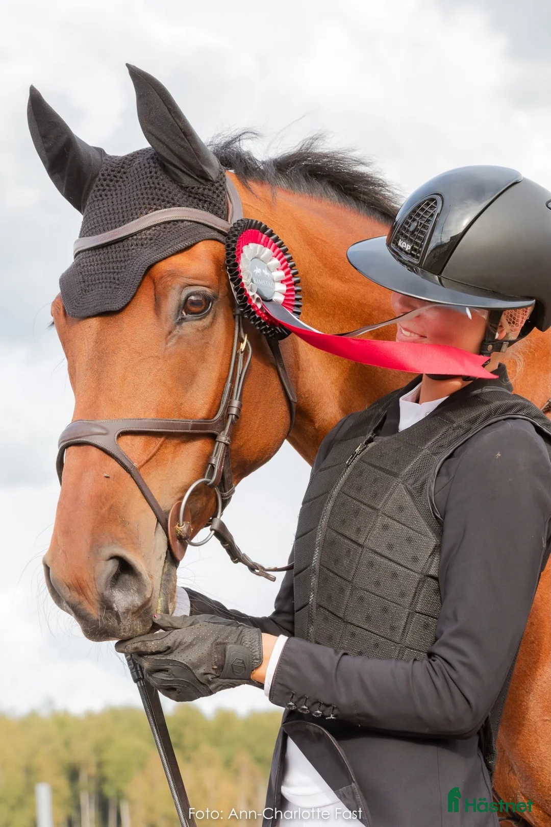Hoppning hästar till salu: Trevlig 9-årig hopphäst med kapacitet - Annons 2