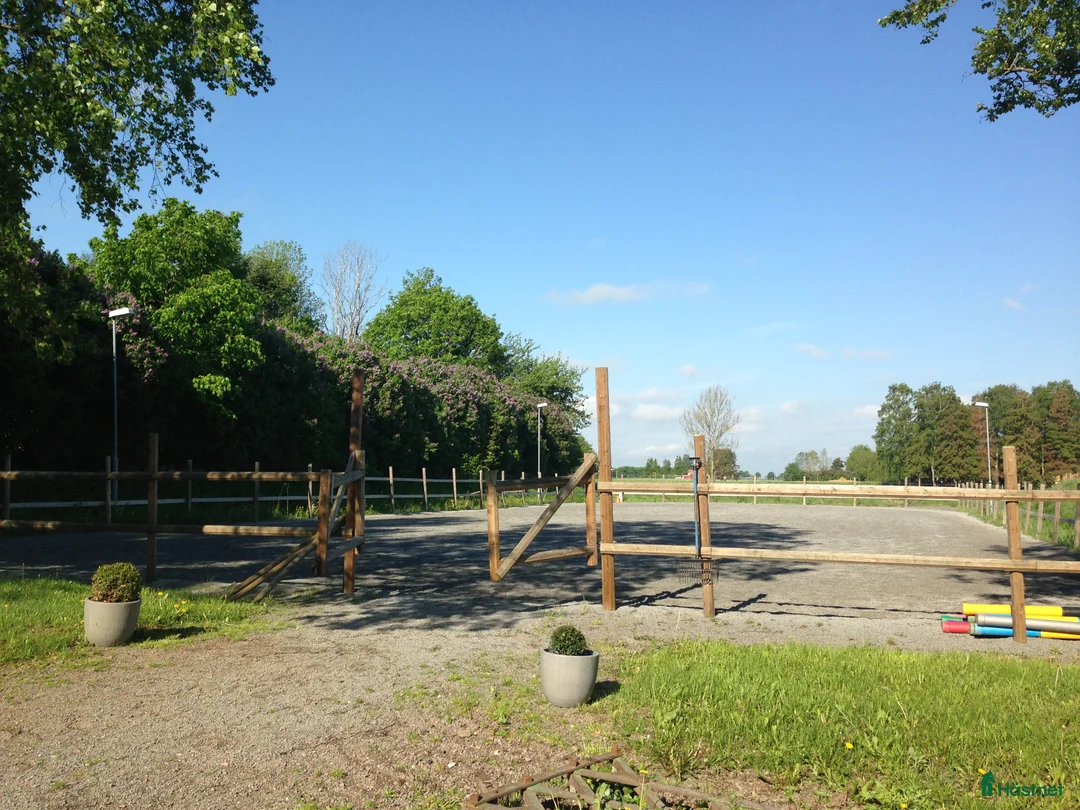  stallplats finnes: Stallplatser 2 ridhus inga jourer i Vikingstad - Annons 6