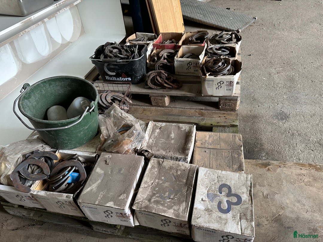 Övrig utrustning övrig utrustning till salu: Nya hästskor i olika storlekar och modeller i Hörby - Annons 4