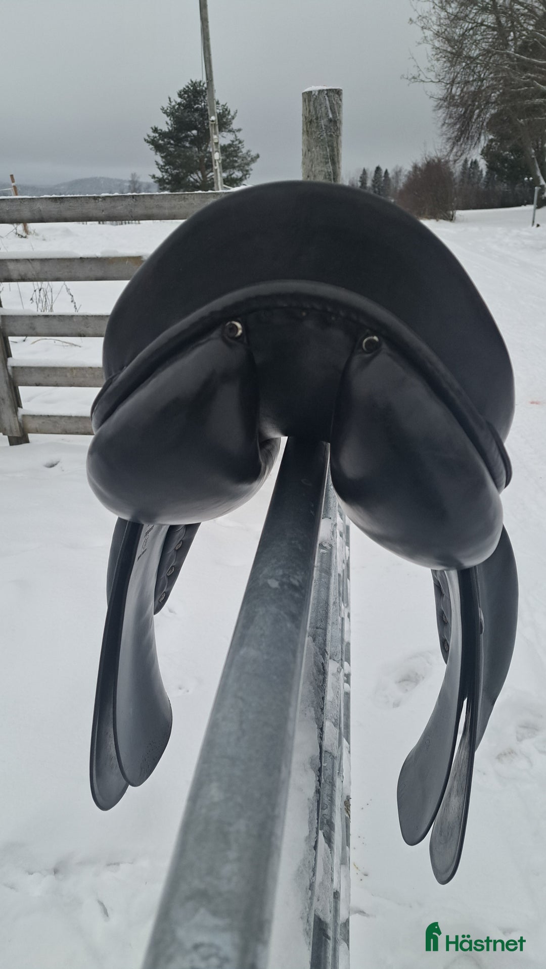 Sadlar hästutrustning till salu: Kvalitet dressyrsadel Röösli svart - Annons 4