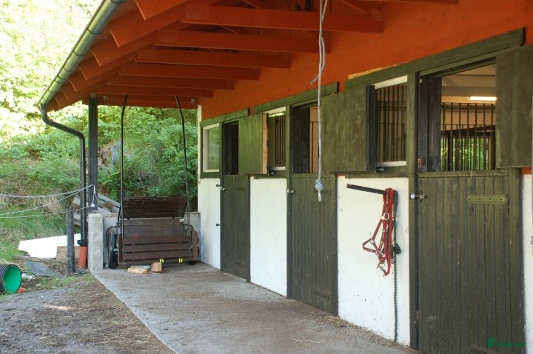  stallplats finnes: Stallplatser för valack i Lindome  i Lindome - Annons 2