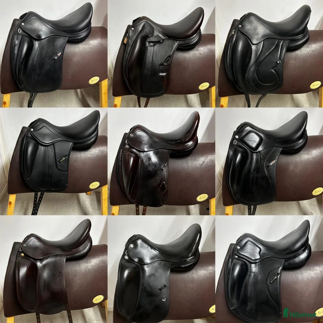 Sadlar hästutrustning till salu: Dressyrsadlar inne 26/1 i Helsingborg - Annons 1