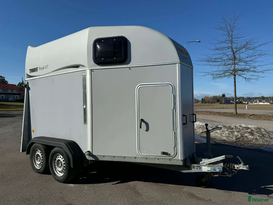 Hästtransporter  fordon & transport till salu: Royal XT med glasfiberkomplsit golv!  - Annons 1