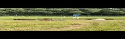  stallplats finnes: Lediga stallplatser  - Annons 2