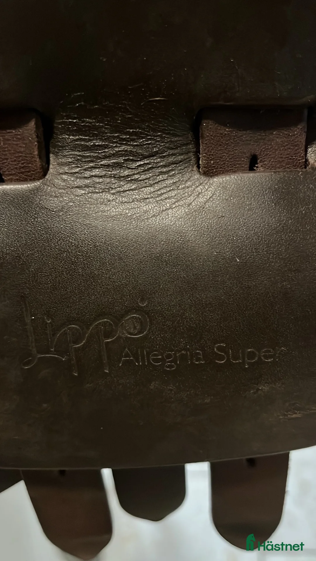 Sadlar hästutrustning till salu: Lippo allegria super - Annons 3