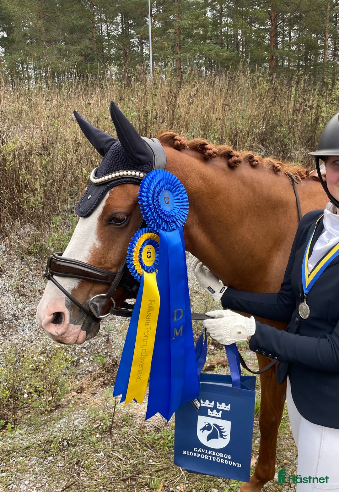 Galleribild {{count}}