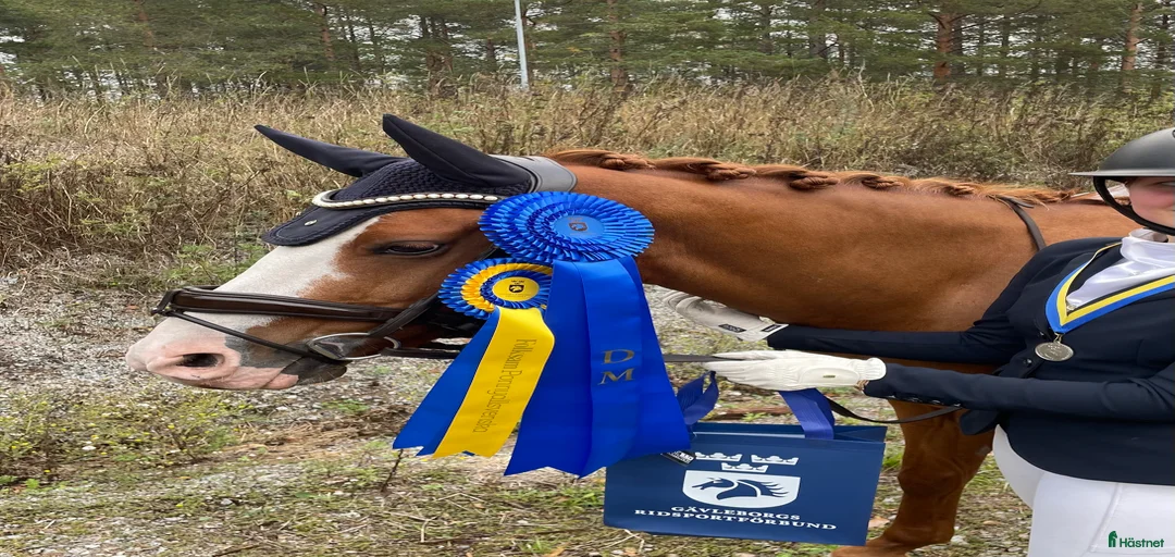 Galleribild {{count}}