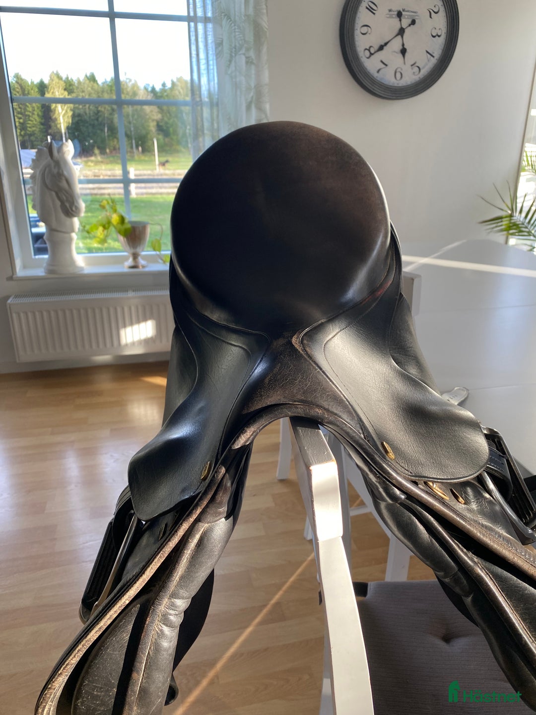 Sadlar hästutrustning till salu: Allround sadel  i Oskarshamn - Annons 4