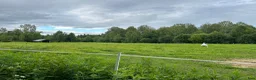  stallplats finnes: Bete/lösdrift/stallplats uthyres - Annons 2