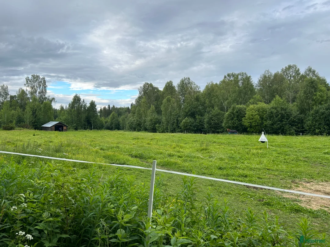  stallplats finnes: Bete/lösdrift/stallplats uthyres - Annons 2
