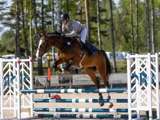 hästar En okomplicerad kille med kvalité - Annons 15