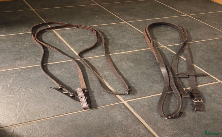 Träns hästutrustning till salu i Boden - Annons 9